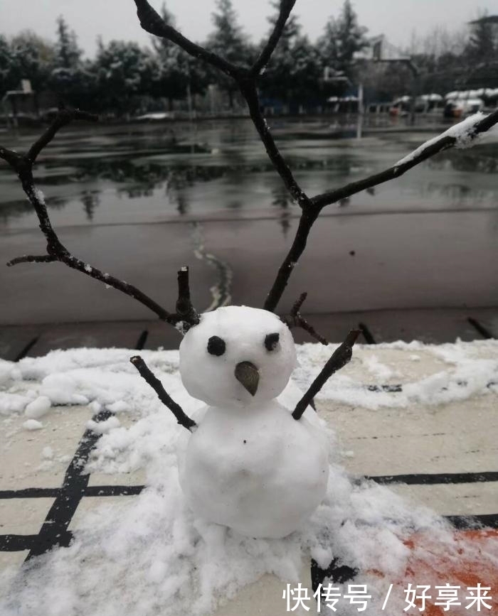 南方下雪都是这么兴奋的。网友直呼“被你们玩坏了”!