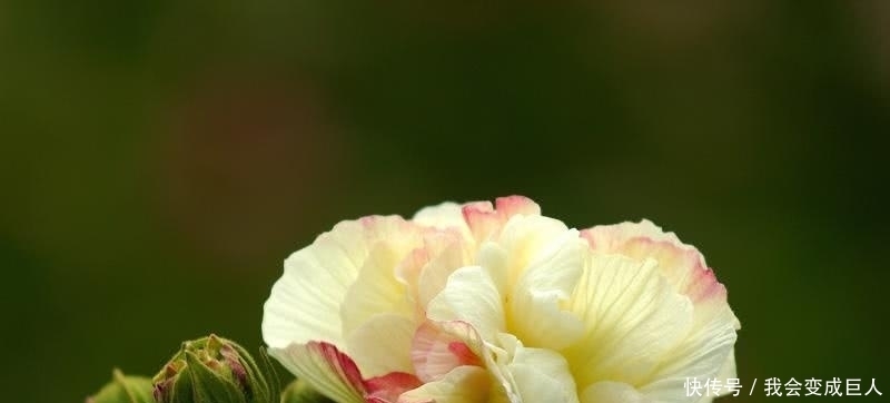  干谒|唐代的自荐信干谒诗：成绩很重要，但坚持努力更重要