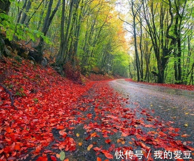 清浅|凭栏仰望小香山，风逸彩云翩，玉人细煮红尘赋，将愁绪、化作炊烟