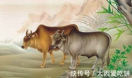 心想事成|属牛人生在几月，2021年偏财进宅，富贵盈门，春风得意，心想事成