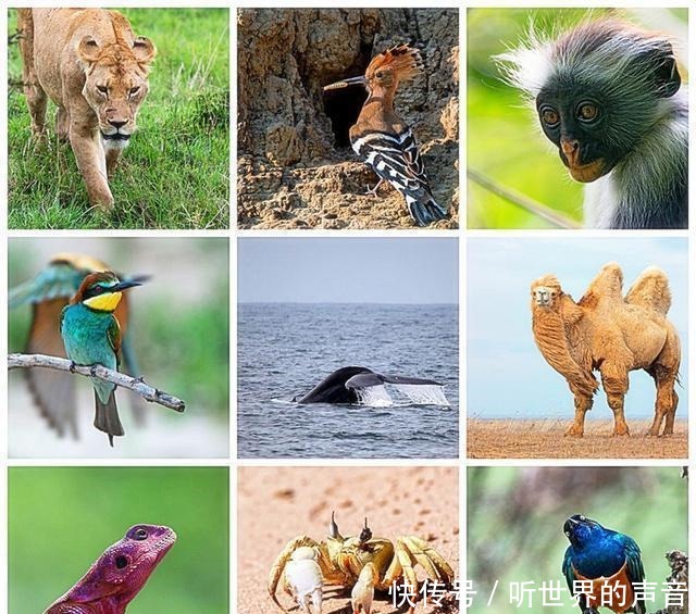 人类|古代女子若结婚太迟, 国家的“罚款”很严重, 甚至有可能倾家荡产!