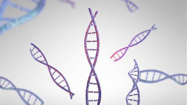 山楂荷叶茶|甘油三酯偏高忌口2物,常喝2水,稳定血脂,或能保持血管年轻态