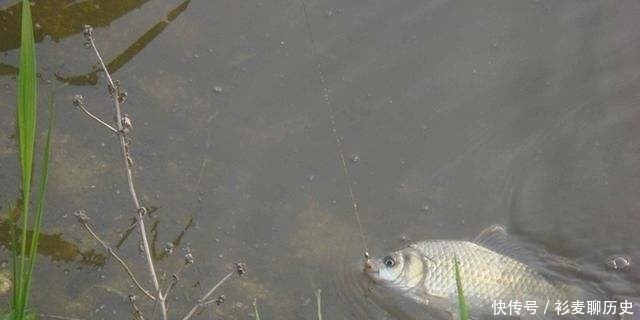 秋季野钓时，新手如果能做到这3点，老钓友都只能甘拜下风！