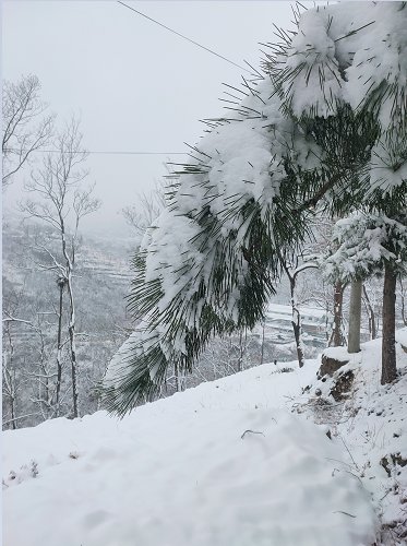 美如童话！快来看房山蒲洼乡东村梯田雪景