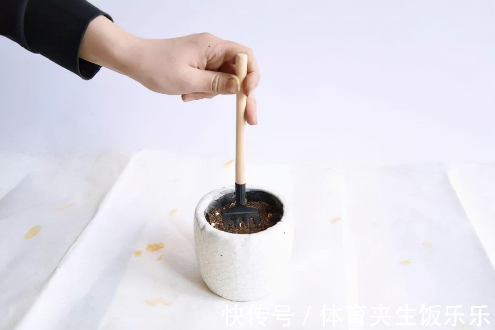 养花就是养土,这些“壳”随处可见,把它们埋土里,土壤不板结