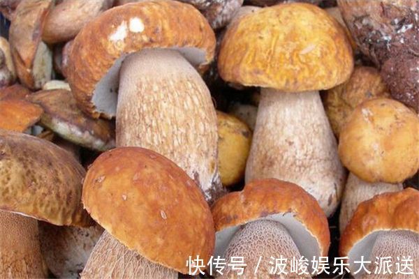 牛肝菌科|女性过了30,多食3种蔬菜,养颜补血,纤体瘦身,多吃身体好