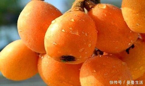食物|女性到了中年，推荐多吃的食物，延缓衰老，预防便秘，气色更好