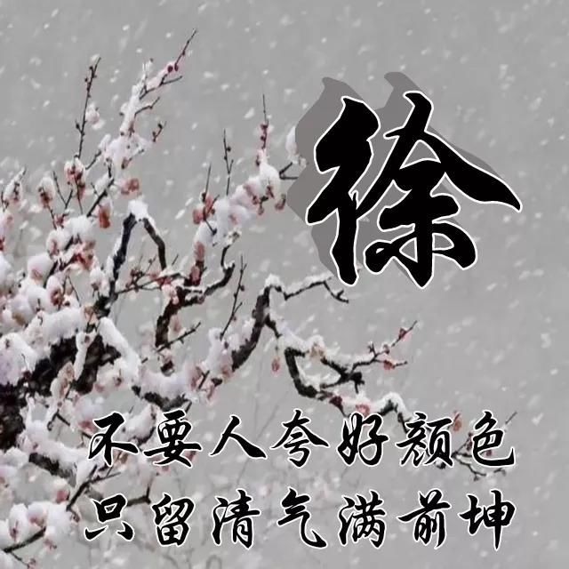  红梅|红梅花儿开，朵朵放光彩，千里冰霜脚下踩