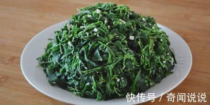 扫帚菜|千真万确:越吃眼睛越明亮的一道菜,远离老花眼,营养解馋,给肉都不换