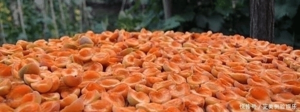 国民|全球唯一无癌症的国家,62万国民无一人患癌,他们常吃这3种食物