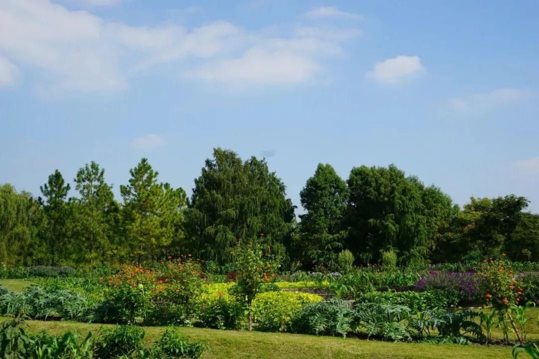  TA|有谁的冬天不曾被TA的香甜吸引过？