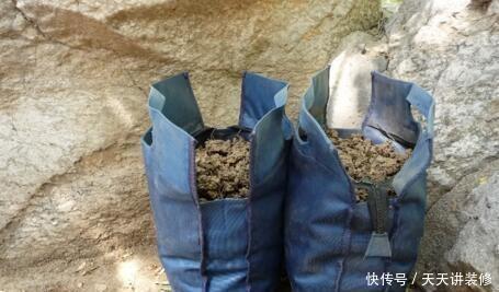 施肥|户外捡3种东西,养花肥沃、透气,1-2年不施肥,花卉轻松爆盆