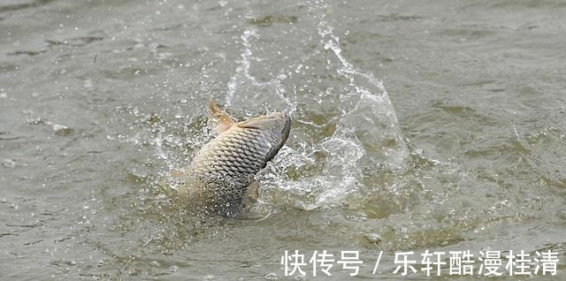 钓鱼这么多年,被70岁老大爷,给上了一课