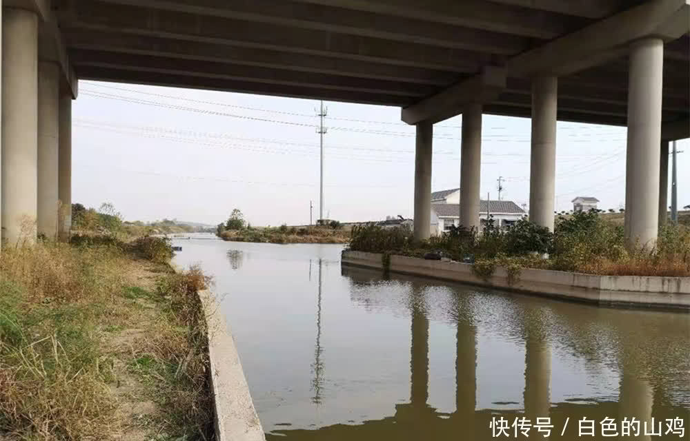 一年四季|钓鱼技巧:钓位选择要分四步走,别说没鱼,鱼都在这里扎堆了!