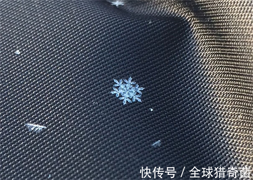 摄影|35张“活久见”的完美图片,强迫症瞬间被治愈了