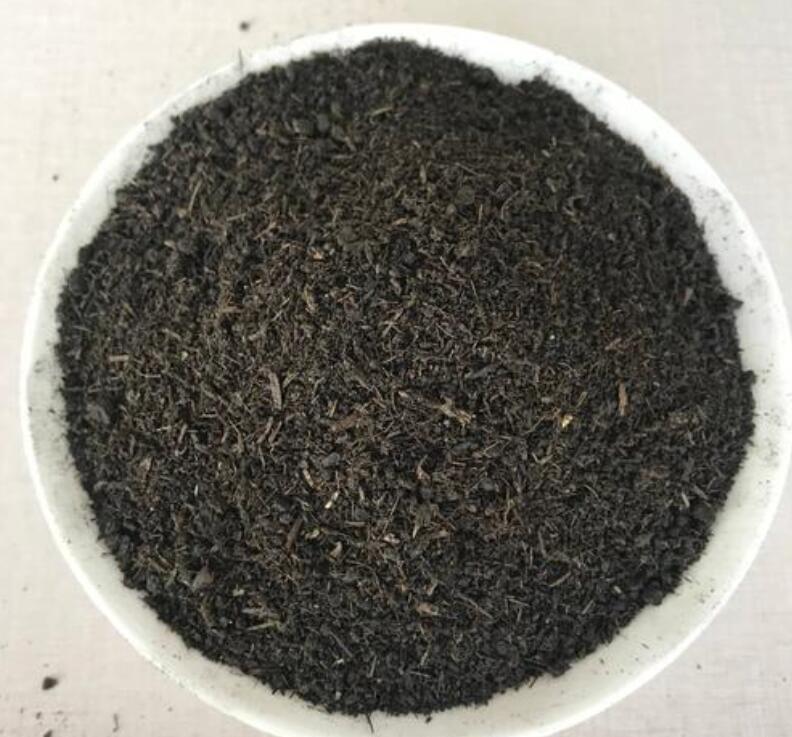 养花用好土长得旺,教你改善土壤的技巧