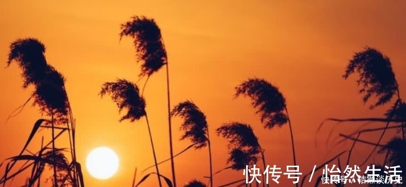 诗人|王维这首诗写得生动有趣，把日常生活中的细节，描写得活灵活现！