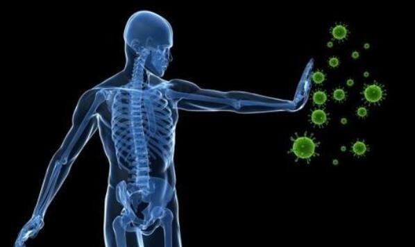 免疫系统|免疫力是人体免费医生,5种不起眼的食物,助力提升免疫力