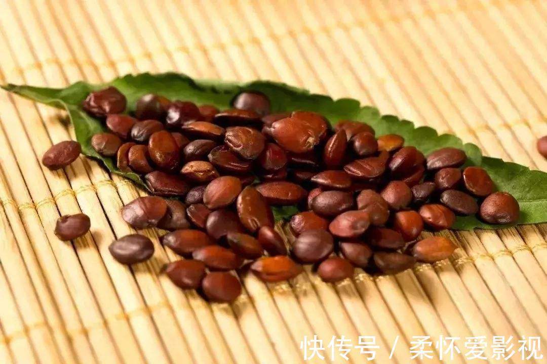 脾虚|张仲景的“千年睡药”！治血虚失眠、脾虚失眠、胆虚失眠