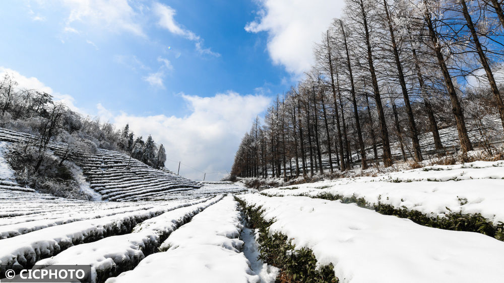 天子山景区|湖南张家界：雪后景美如画