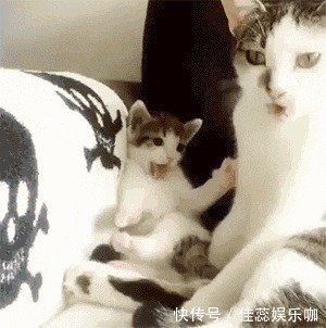 |「搞笑GIF」这是什么情况,知道现在的男孩子为什么不找女生玩了