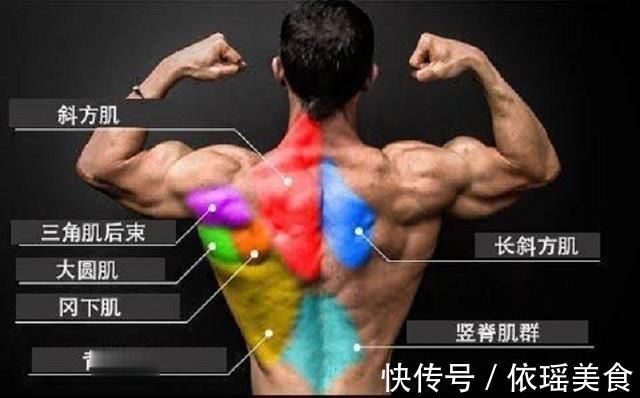 背部|以后训练背部肌肉,不能少了这4个动作,练背效果太强了