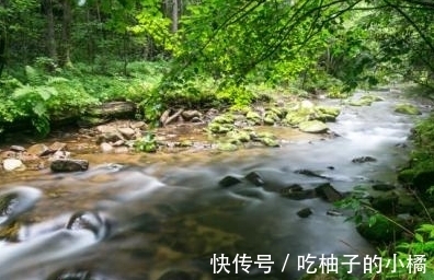 这首诗|崔涂的一首哲理诗，寥寥数语，却蕴含深刻，令人赞赏不已