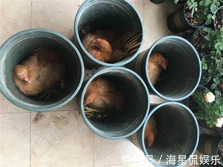 天后|10个养花的坏习惯，赶紧改，不然真是浪费钱！
