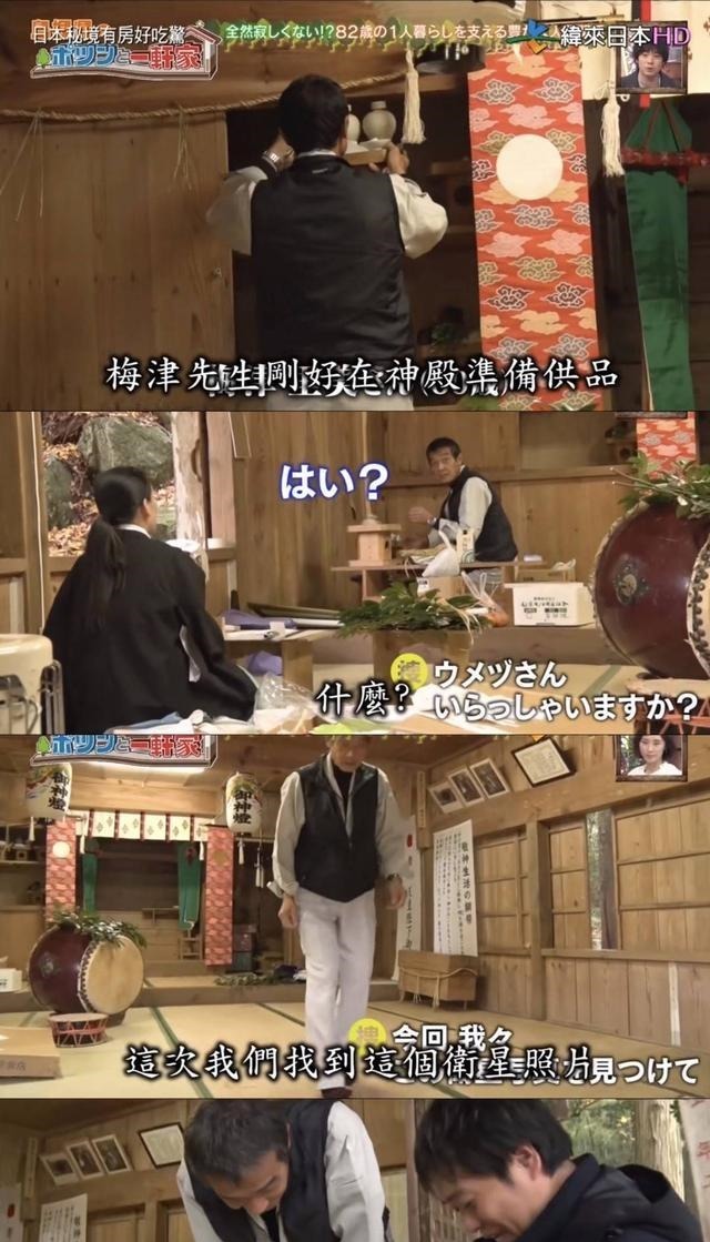 房好吃惊|23年种5700棵树 这个老人把荒山建成了森林公园