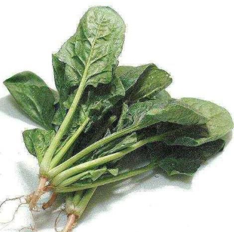 高血压|高血压头晕太难受！常吃此几样食物，稳定降压，不用再发愁