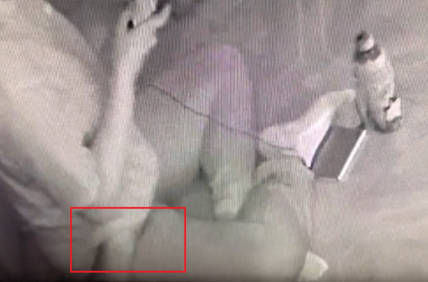 报名|女大学生报名健身,被男教练骗向汗蒸房,事后女孩报警处理