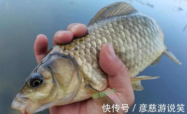 拉力值|八字环这样用钓鱼就是好，非常实用的钓鱼技巧！