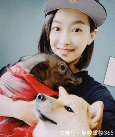 猪小八|《向往的生活》被领养的狗怎么样了看清宋茜的晒照热泪盈眶！