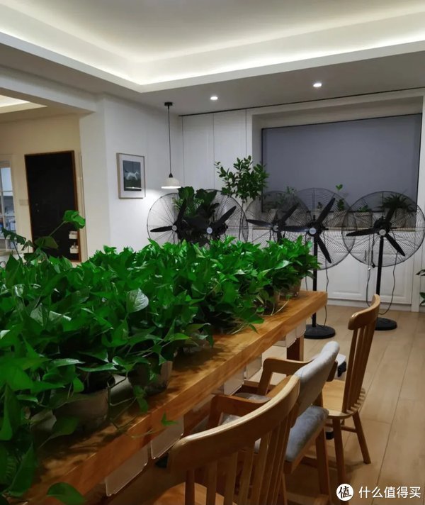 甲醛|装修完后要先关紧门窗,这样真的对装修有好处吗?来听听大实话