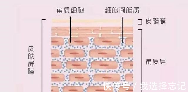 无印良品 值得推荐的8款平价护肤品，适合学生党的护肤品！