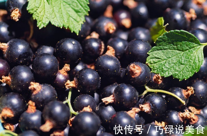 黑加仑|女性常吃此物,再贵也不要省,气血双补,面色红润了,眼睛也亮了