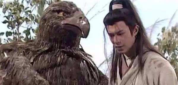 庞大|神雕真实存在,罕见稀有体型庞大,全球还不到一千只