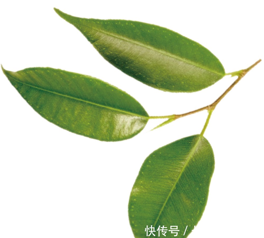 常家|恰克图风云|榆次常家:传奇的兴起与落幕