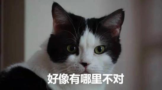 单人|一条链接16666元网购一不小心就中招