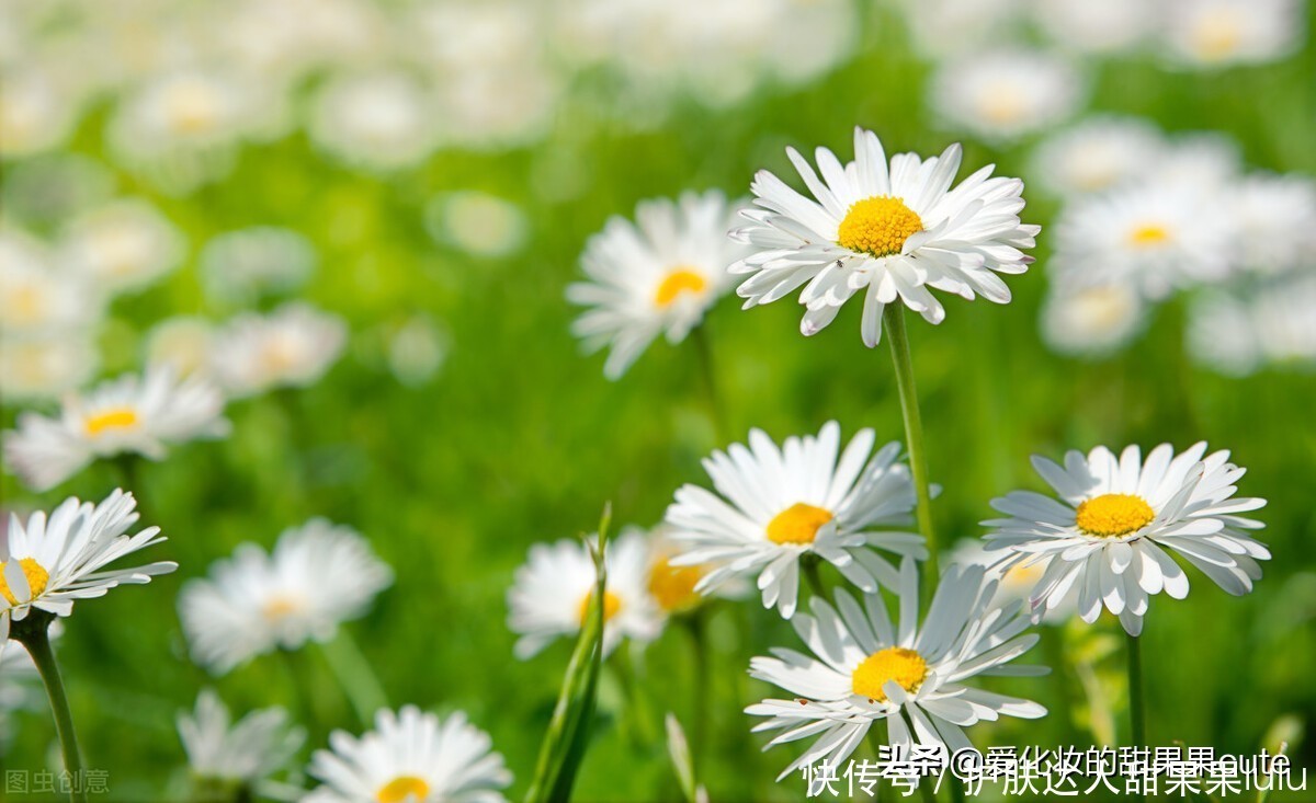 好雨时节:春季与夏季的过渡季节,该如何护肤?