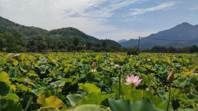 溶洞|溶洞、漂流、大峡谷…温度低至16℃！夏天哪里好玩又避暑？这些地方收藏好