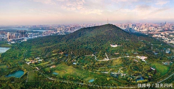 合肥一大型公园走红,占地面积1千万平方米,