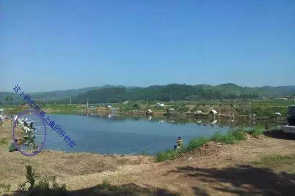 野钓找钓位就用这8招，用熟练了，不打窝子都能钓鱼