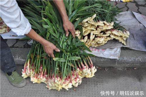 爷爷在家盆栽生姜，邻居都笑他老糊涂，可长出来的东西却美爆了！