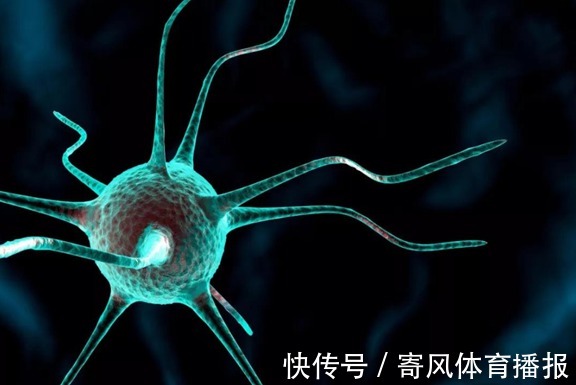 五味子|90后夫妻,同时查出肝硬化,医生:这2物吃天天吃,肝遭不住