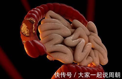 好人|肠好人长寿!牢记晨起3坚持,睡前4不要,肠道一天比一天好!