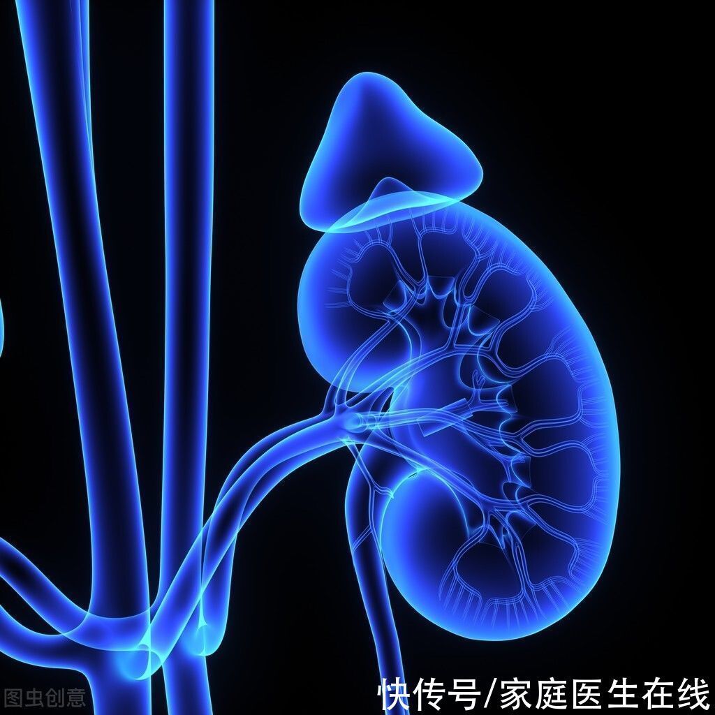 叶绿素|男性出现“4降、3细”需警惕,说明进入衰老期了,若你一个也没有,恭喜你很年轻