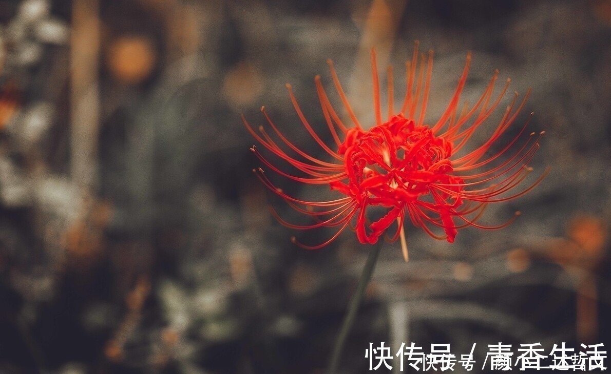 颜小二$带着“肉体”去探索,灵魂是要上当的,《老子》快乐不是享乐