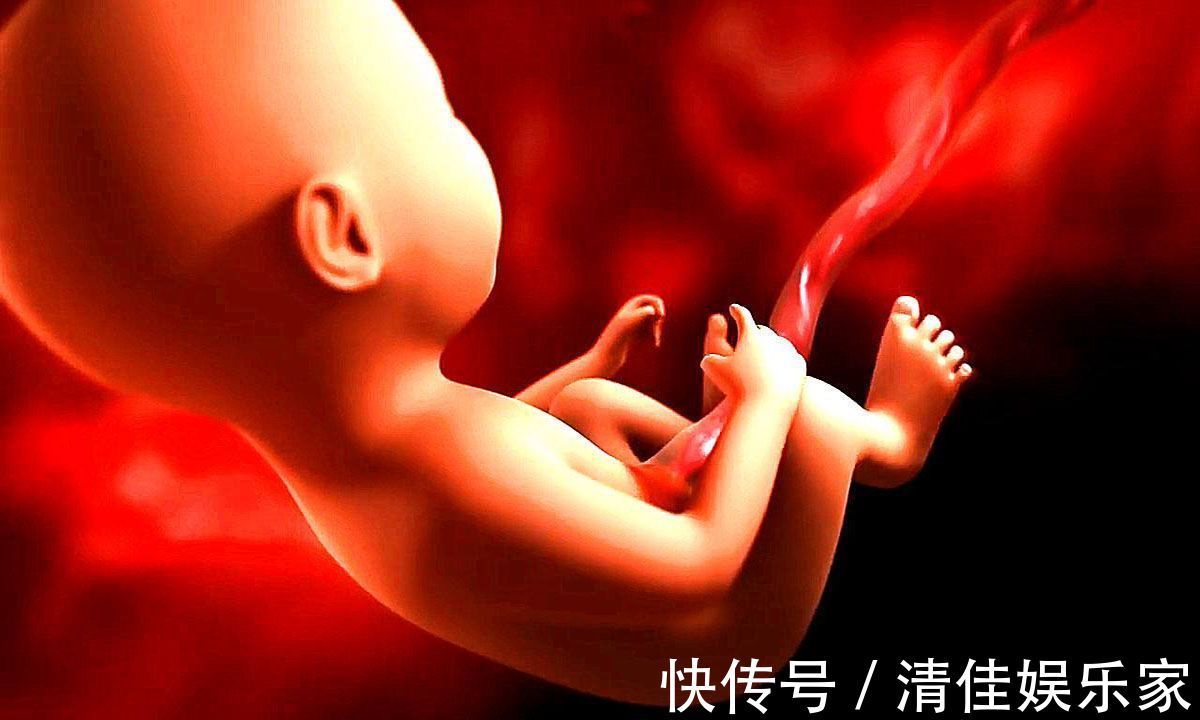 排泄物|胎儿在母亲肚子里，生活的很“精致”！不过他的大小便都去哪了