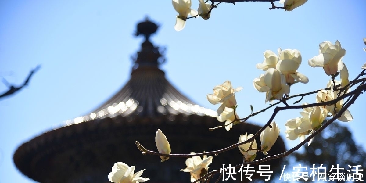 人生|纳兰性德一首深情的经典力作，美得心醉，写尽人生最深的思念